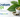 What is kratom and why does it matter in drug testing?